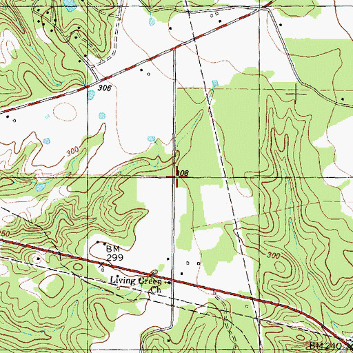 Topographic Map of Living Green Church, TX