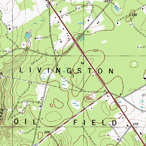 Topographic Map of Livingston Oil Field, TX