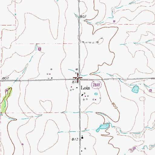 Topographic Map of Lois, TX