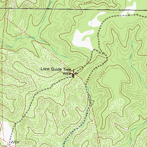 Topographic Map of Lone Guide Tree Well, TX
