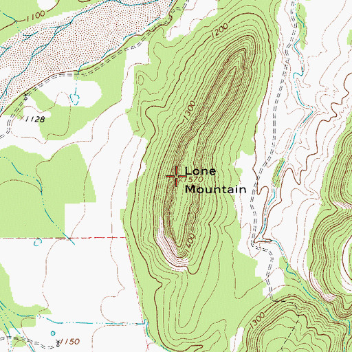 Topographic Map of Lone Mountain, TX
