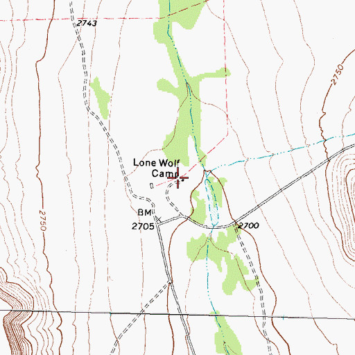 Topographic Map of Lone Wolf Camp, TX