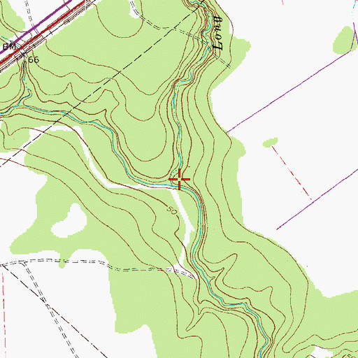 Topographic Map of Long Branch, TX