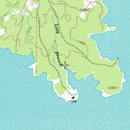 Topographic Map of Long Branch, TX