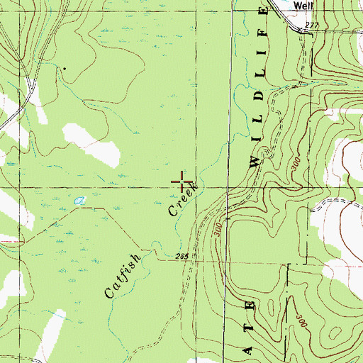 Topographic Map of Long Branch, TX