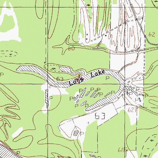 Topographic Map of Long Lake, TX