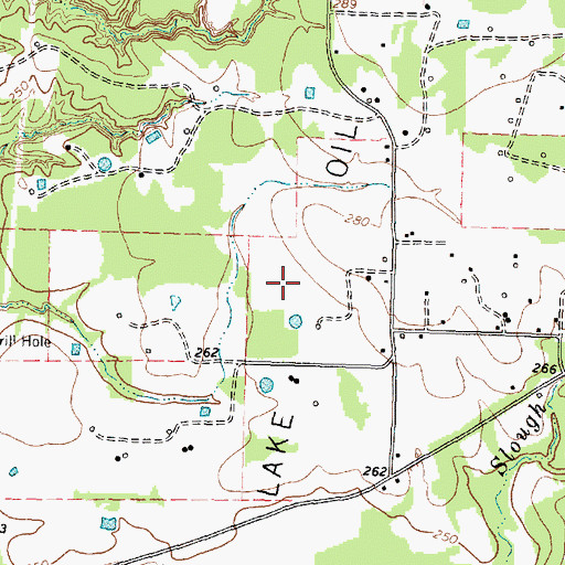 Topographic Map of Long Lake Oil Field, TX