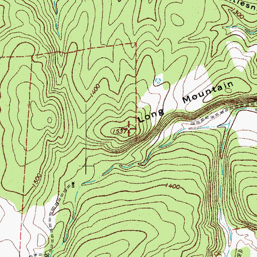 Topographic Map of Long Mountain, TX