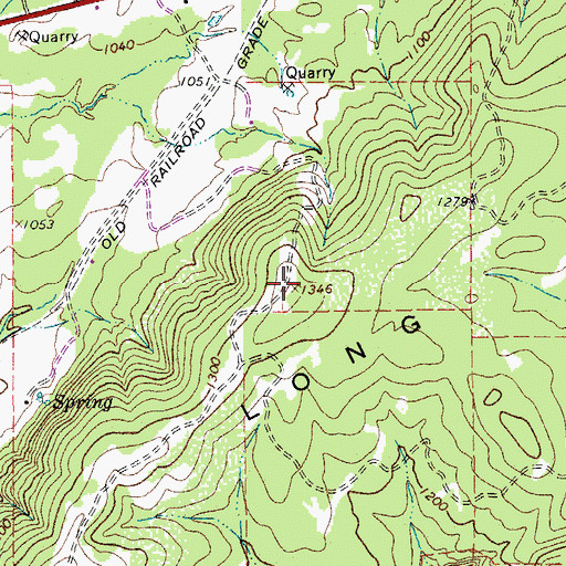 Topographic Map of Long Mountain, TX