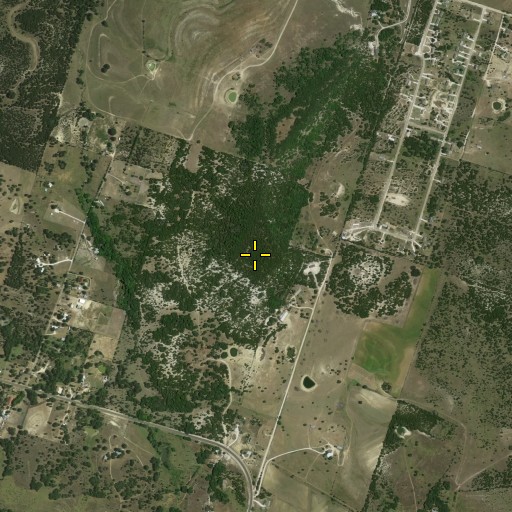 Aerial/Satellite Image of Long Mountain, TX