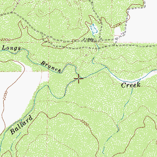 Topographic Map of Longs Branch, TX