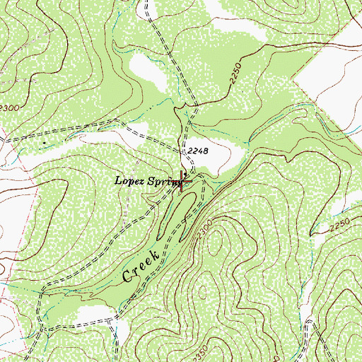 Topographic Map of Lopez Spring, TX