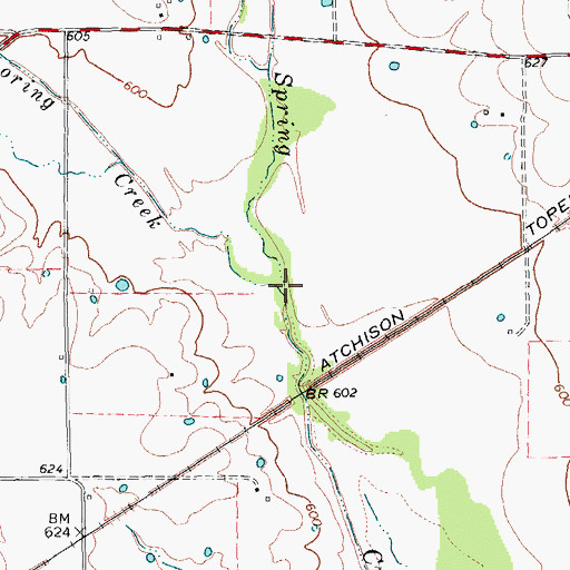 Topographic Map of Loring Creek, TX