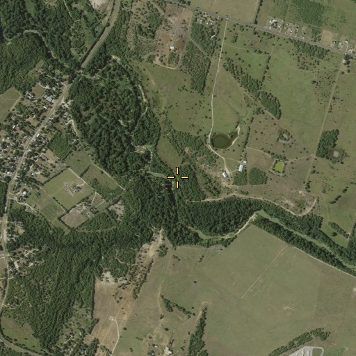 Aerial/Satellite Image of Losoya Creek, TX
