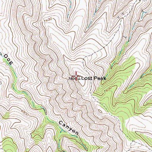 Topographic Map of Lost Peak, TX