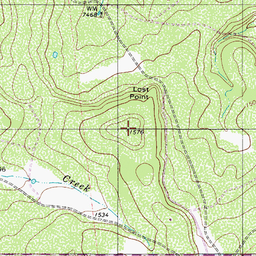 Topographic Map of Lost Point, TX