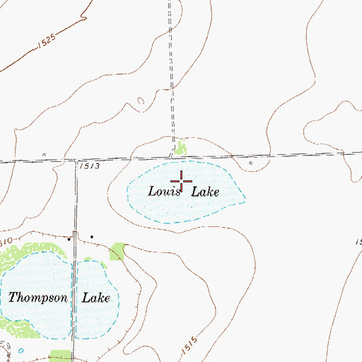 Topographic Map of Louis Lake, TX