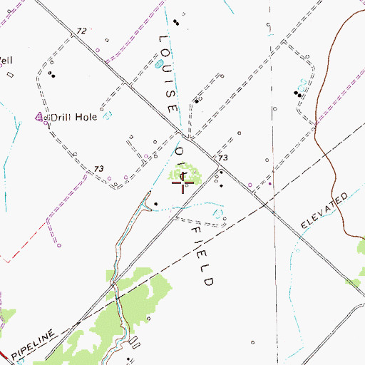 Topographic Map of Louise Oil Field, TX