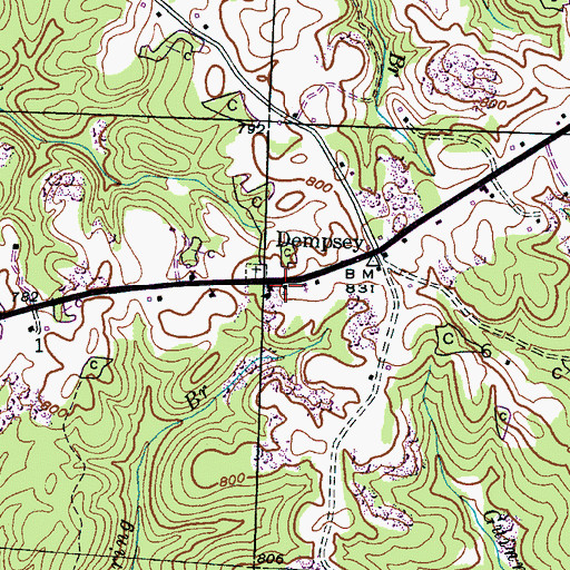Topographic Map of James Chapel Church, AL