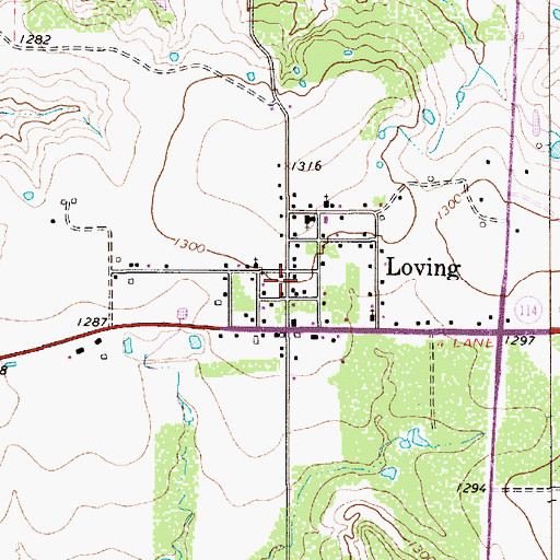 Topographic Map of Loving, TX