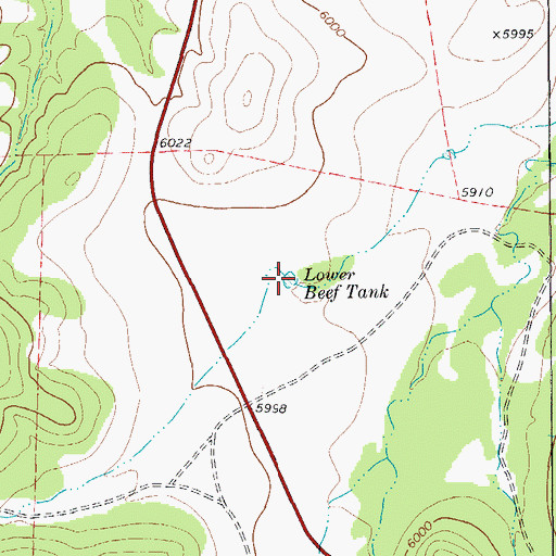 Topographic Map of Lower Beef Tank, TX