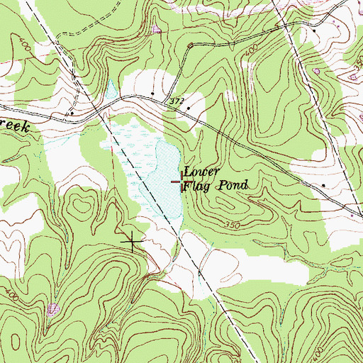 Topographic Map of Lower Flag Pond, TX