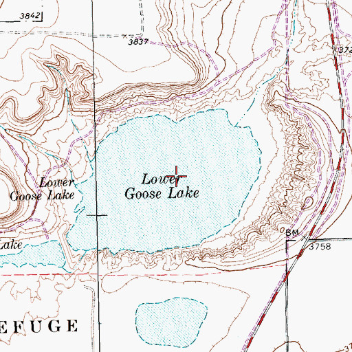 Topographic Map of Lower Goose Lake, TX