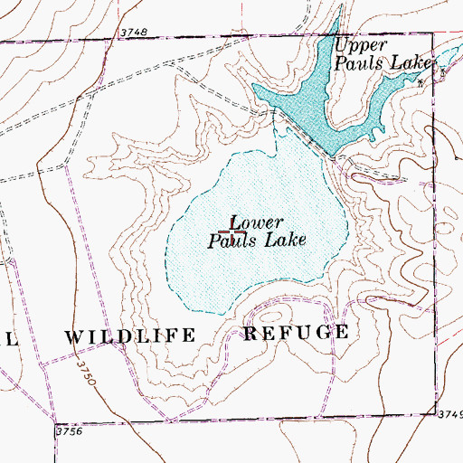 Topographic Map of Lower Pauls Lake, TX
