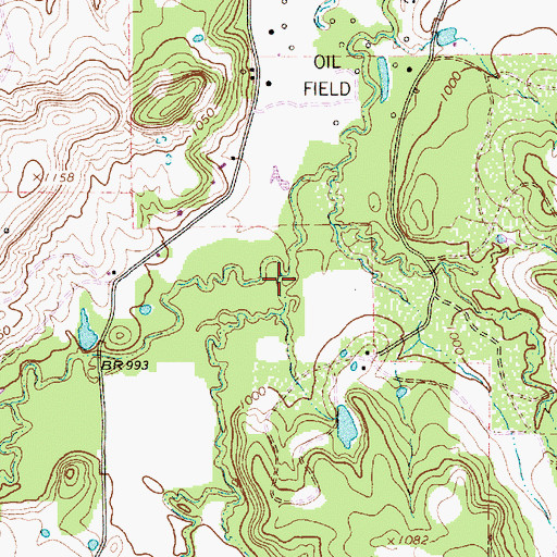 Topographic Map of Lynn Creek, TX