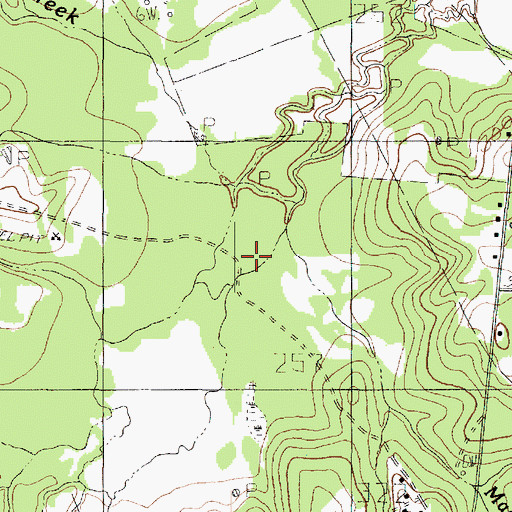 Topographic Map of Macedonia Branch, TX