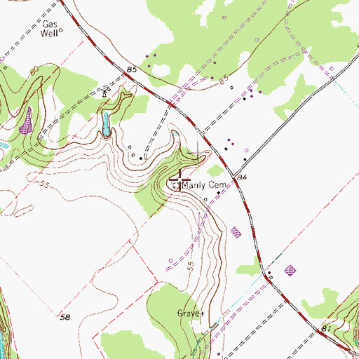 Topographic Map of Manly Cemetery, TX