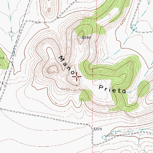 Topographic Map of Mano Prieto Mountain, TX