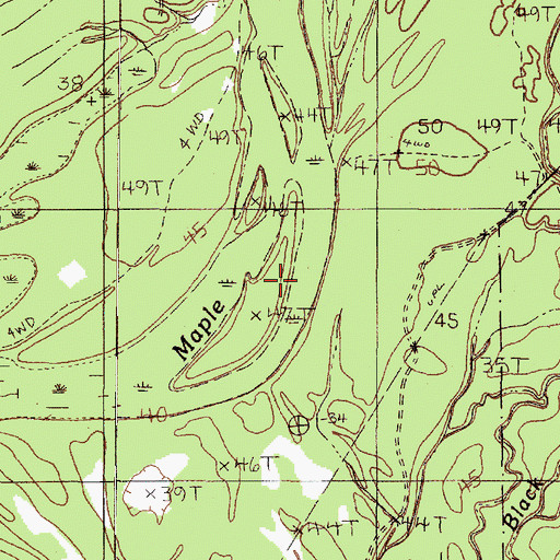 Topographic Map of Maple Slough, TX