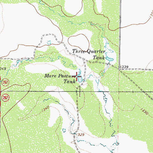Topographic Map of Mare Pasture Tank, TX