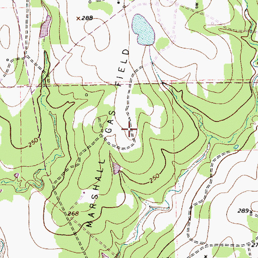 Topographic Map of Marshall Gas Field, TX