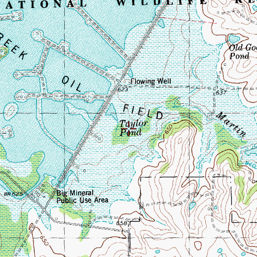 Topographic Map of Martin Branch, TX