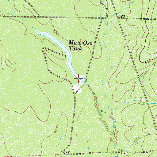 Topographic Map of Mato Oso Tank, TX