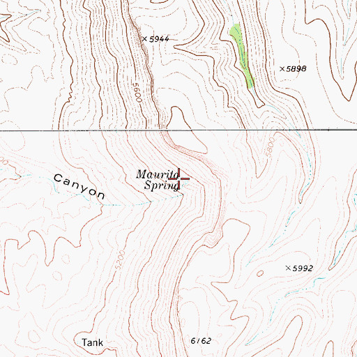 Topographic Map of Maurita Spring, TX