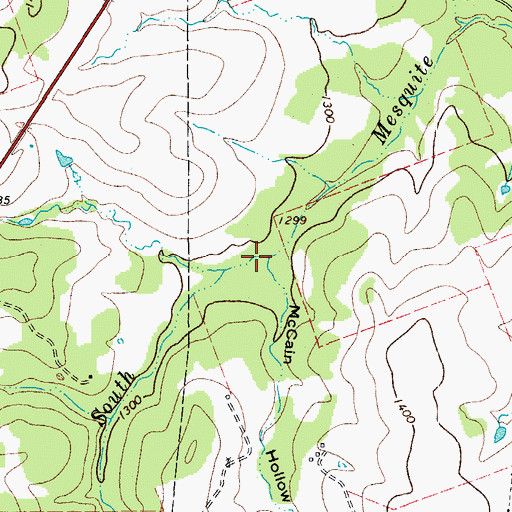 Topographic Map of McCain Hollow, TX