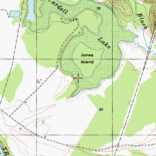 Topographic Map of McCardell Lake, TX