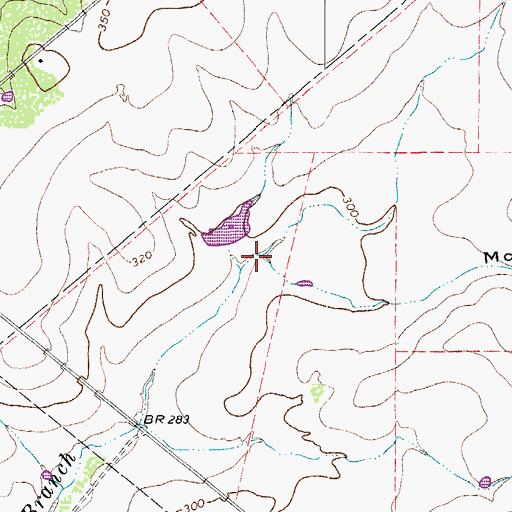 Topographic Map of McCoy Hollow, TX