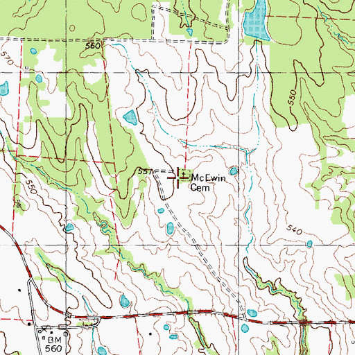Topographic Map of McEwin Cemetery, TX