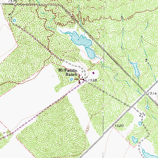 Topographic Map of McFaddin Ranch, TX