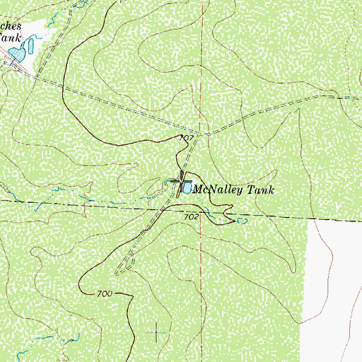 Topographic Map of McNalley Tank, TX
