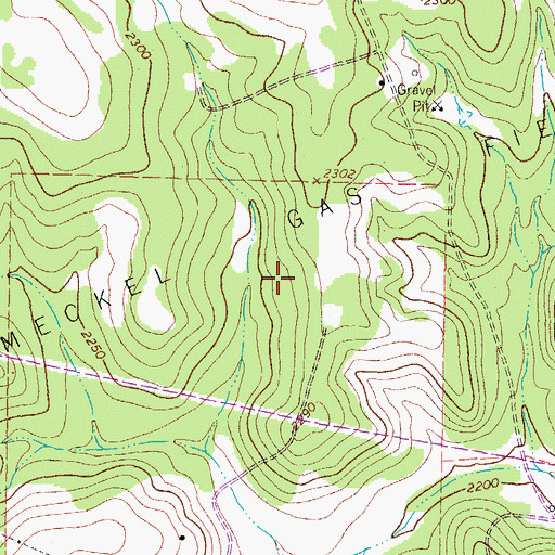 Topographic Map of Meckel Gas Field, TX