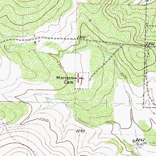 Topographic Map of Mertzon Cemetery, TX