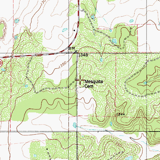 Topographic Map of Mesquite Cemetery, TX