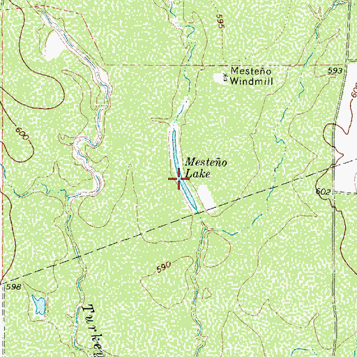 Topographic Map of Mesteo Lake, TX