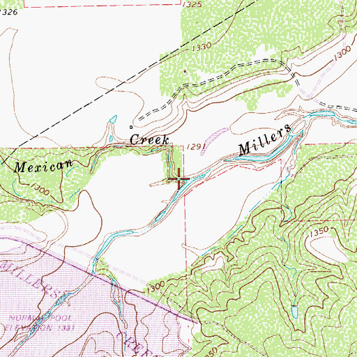 Topographic Map of Mexican Creek, TX