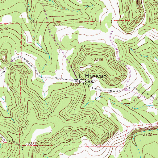 Topographic Map of Mexican Gap, TX